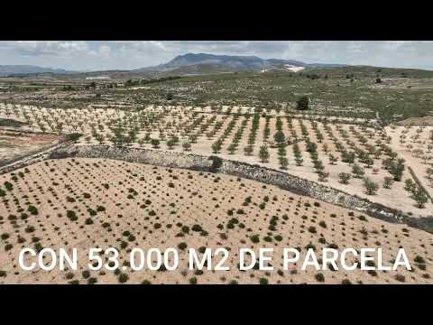 Finca Rústica de 53.000 m² con Viñedos en Los Gabrieles